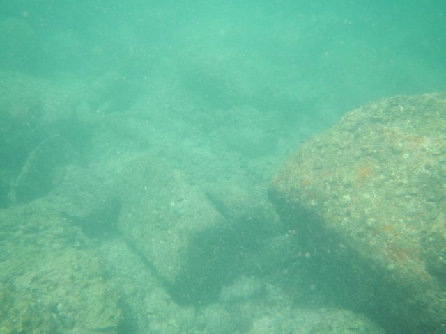 dscn1613